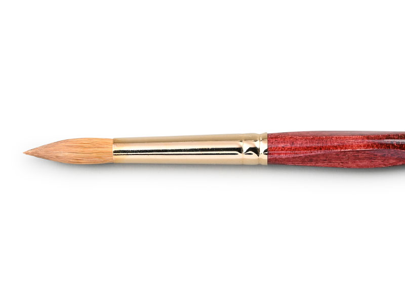 Watercolor brushes pointed round